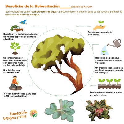 Sabes por qué reforestamos?