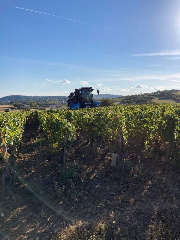 Blanc, rouge ou crémant... Retrouvez la bourgogne dans votre verre !