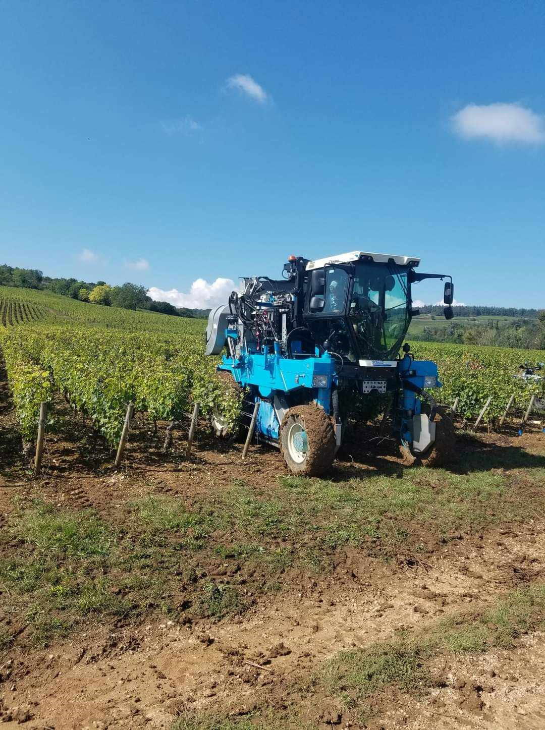 Blanc, rouge ou crémant... Retrouvez la bourgogne dans votre verre !