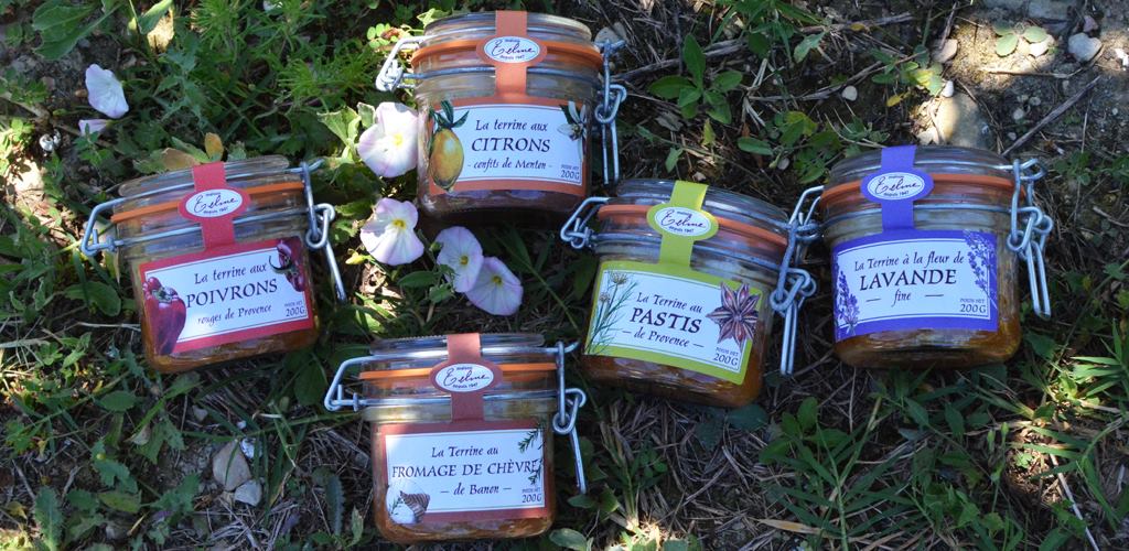 Les terrines et les prix