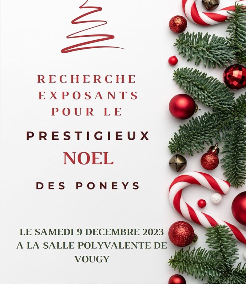Marché de Noel de l'association Prestige Poney