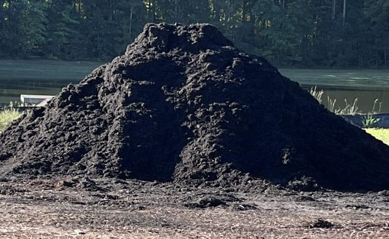 Black Mulch