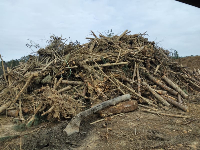 Loads of Yard Debris