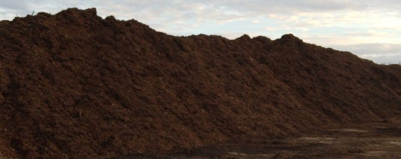 Natural Mulch