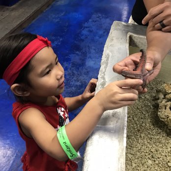 A Guide to Aquariums