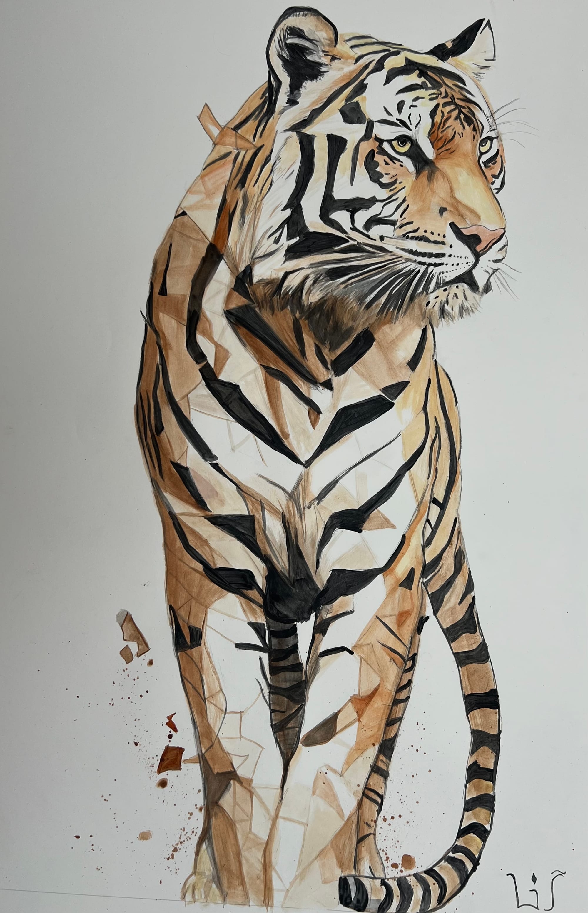 Animal Paintings