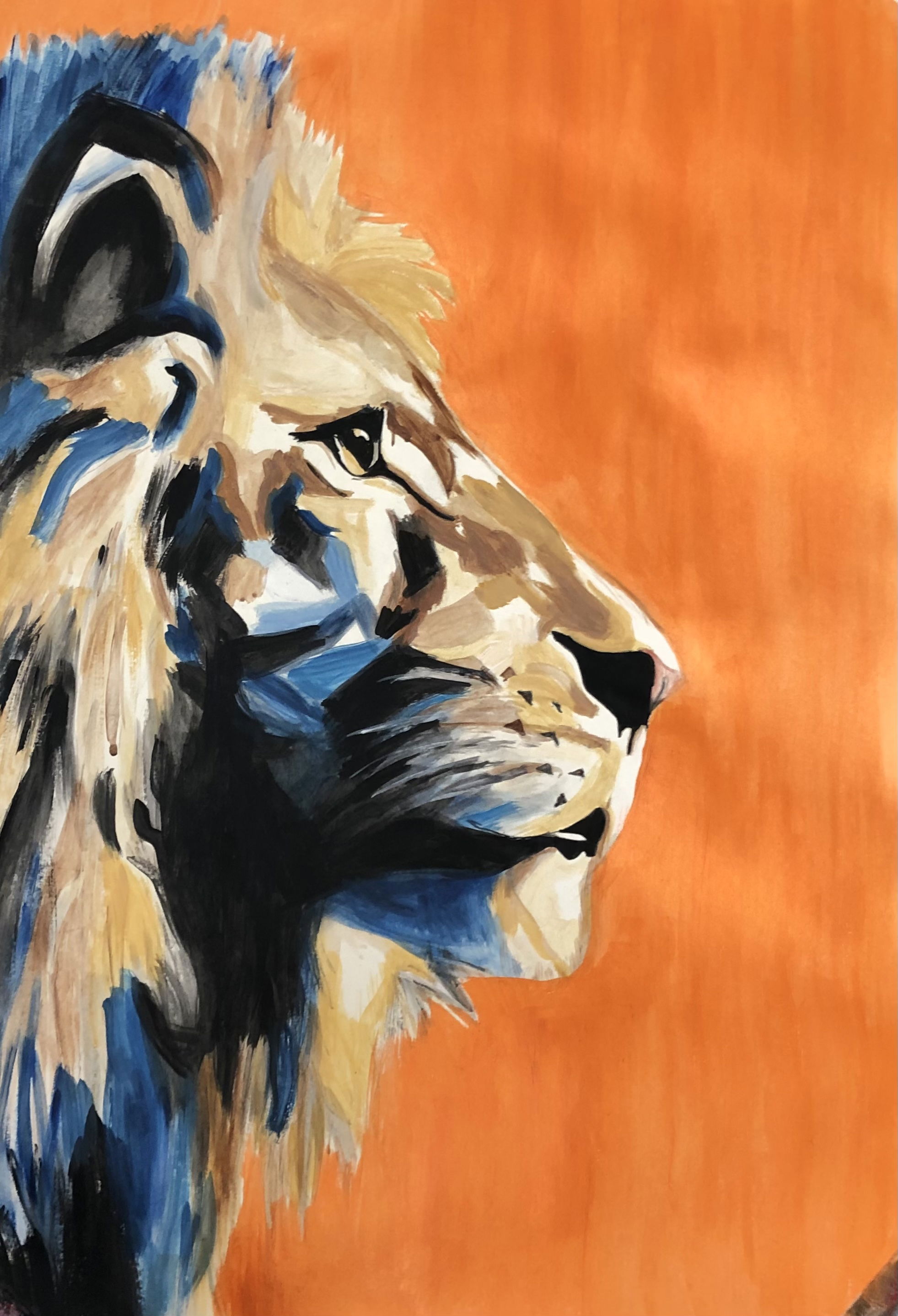 Animal Paintings