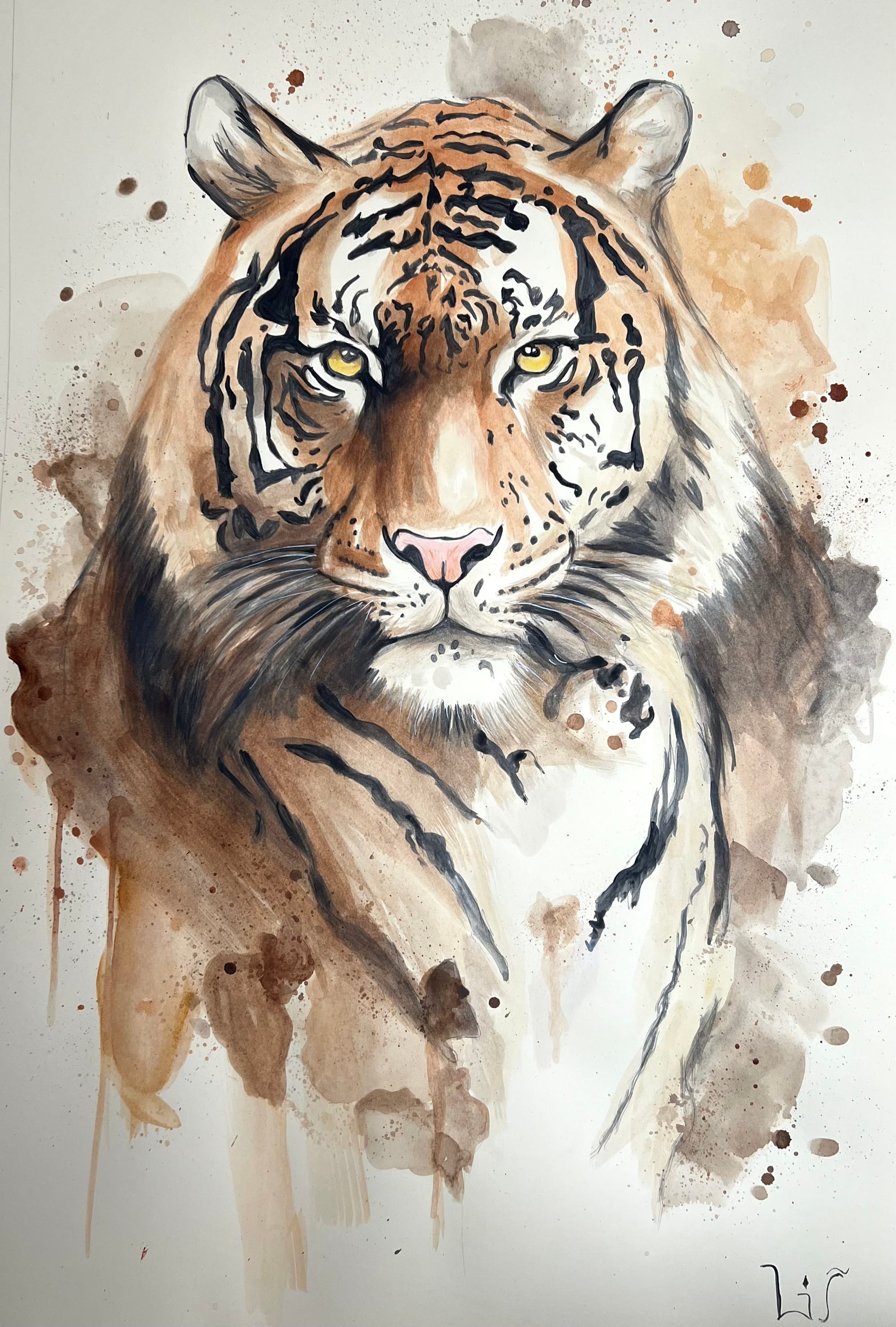 Animal Paintings