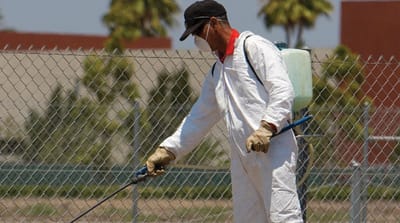 How to Pick a Pest Control Company