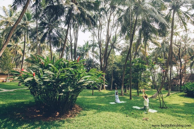 Ayurvédique bien-être