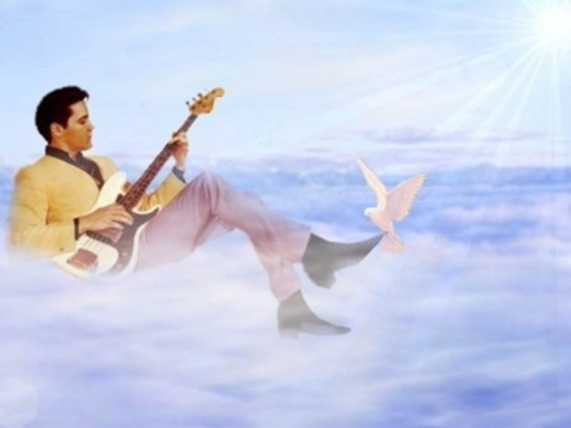 Elvis told me to do it.