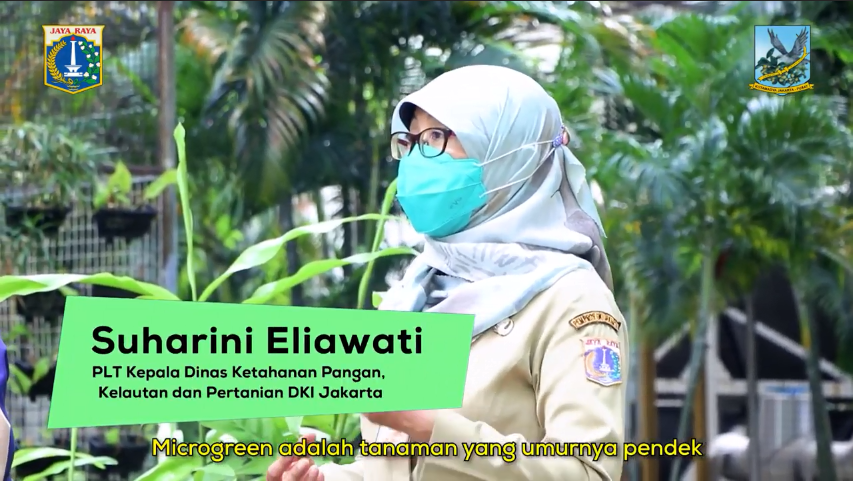 Dinas KPKP DKI Jakarta Kembangkan Konsep Baru Urban Farming