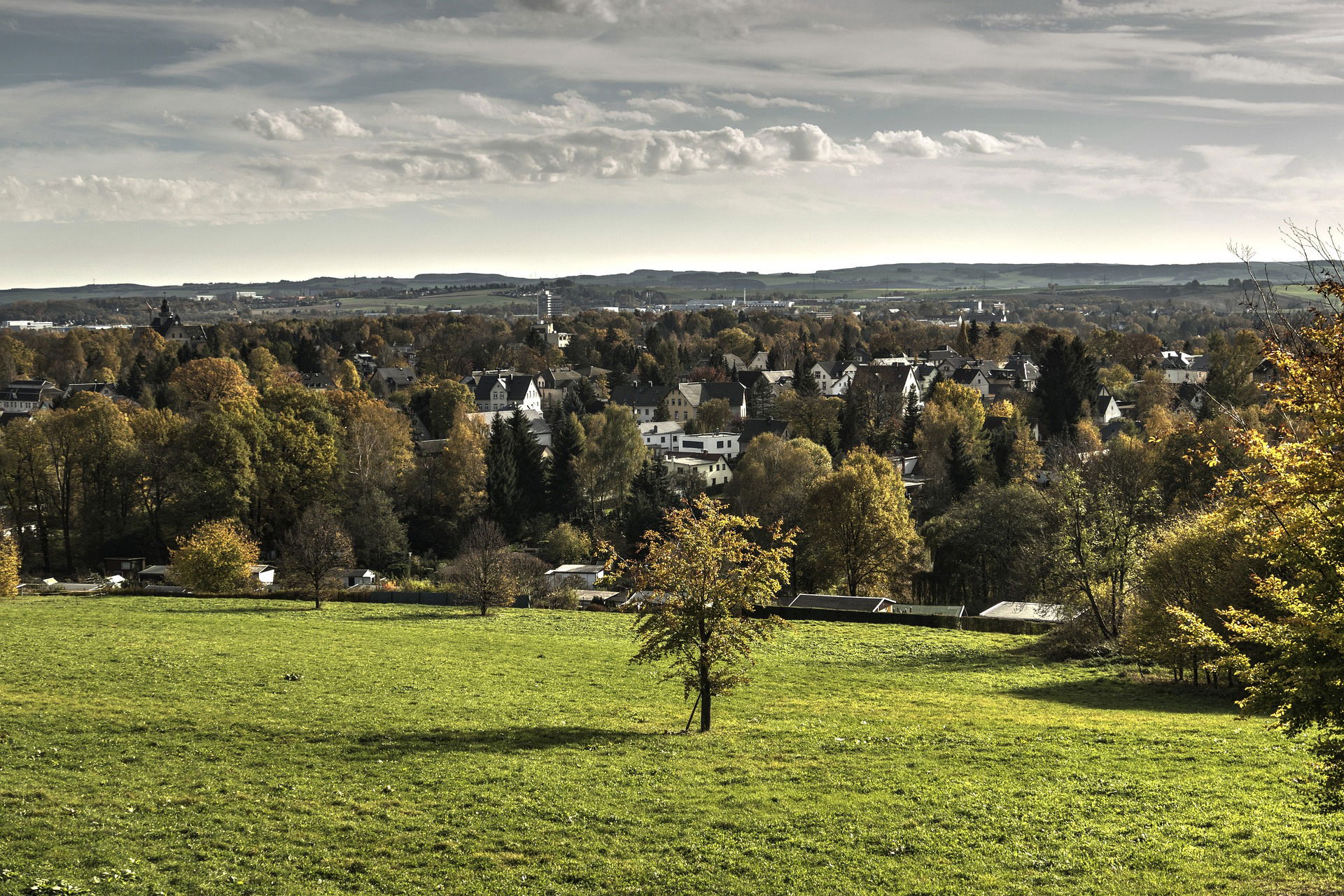 Polsterreinigungswelt in Chemnitz