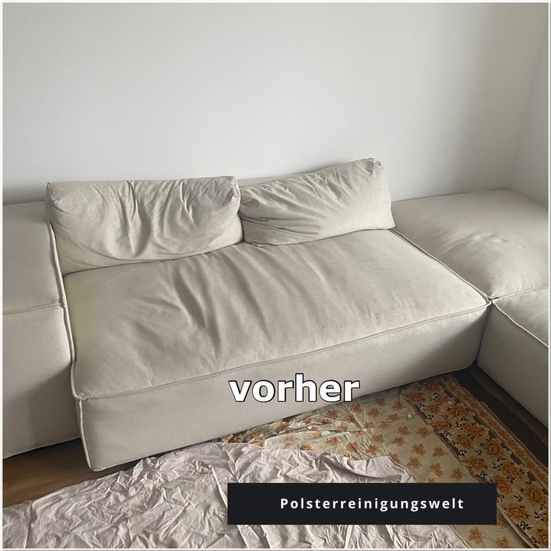 Polsterreinigungswelt in Leipzig-Wiederitzsch - Kopieren - Kopieren - Kopieren