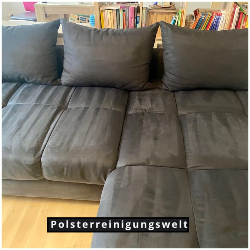 Patrick Reissmann ⭐️⭐️⭐️⭐️⭐️