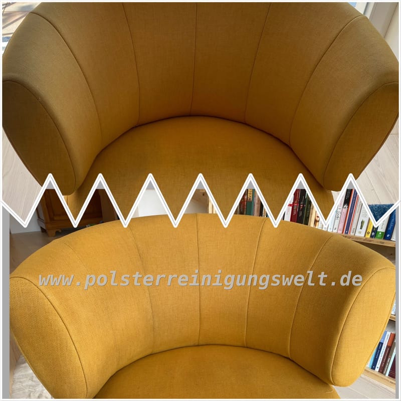 Polsterreinigungswelt in Leipzig-Schleußig