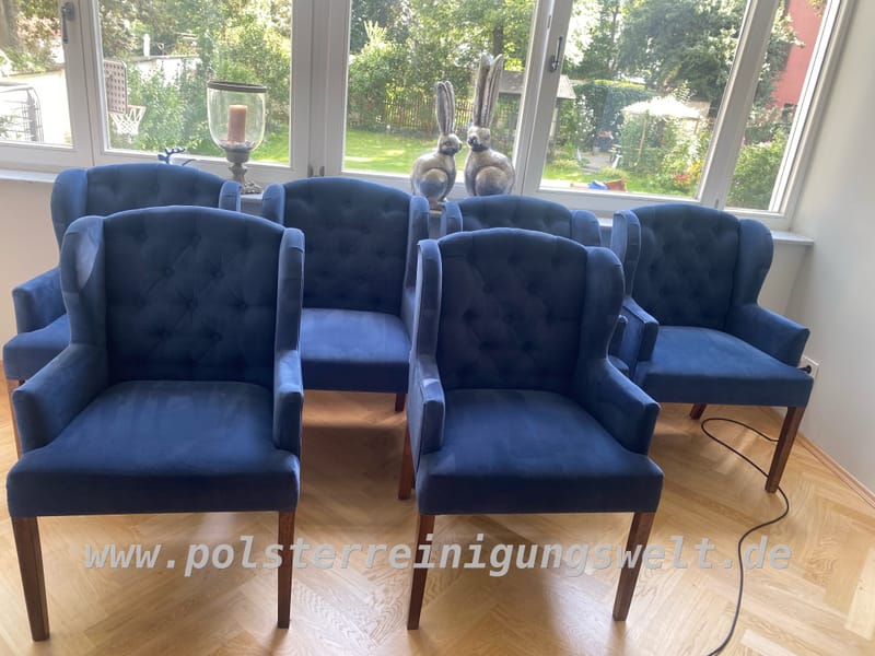 Polsterreinigungswelt in Leipzig-Südvorstadt