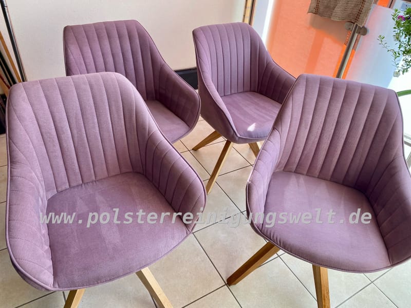 Polsterreinigungswelt in Delitzsch