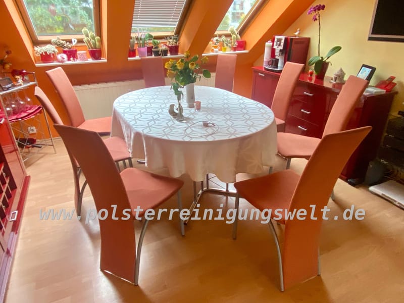 Polsterreinigungswelt in Markkleeberg