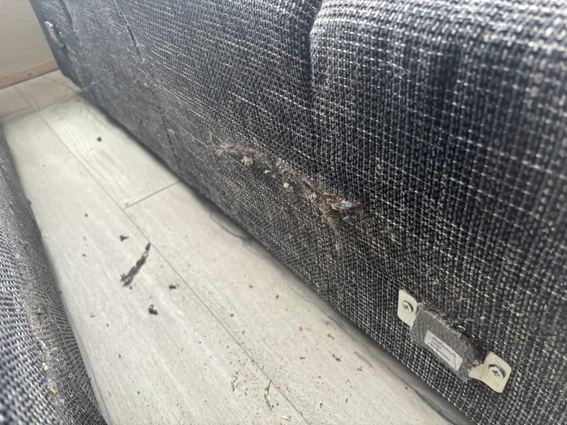 Wissen Sie eigentlich was sich im Laufe der Jahre zwischen Ihrer Couch verbirgt?