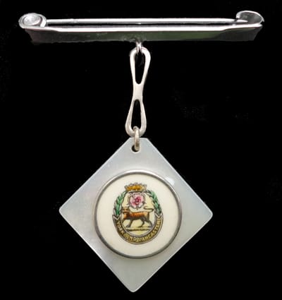 Mother of Pearl Pin Brooch