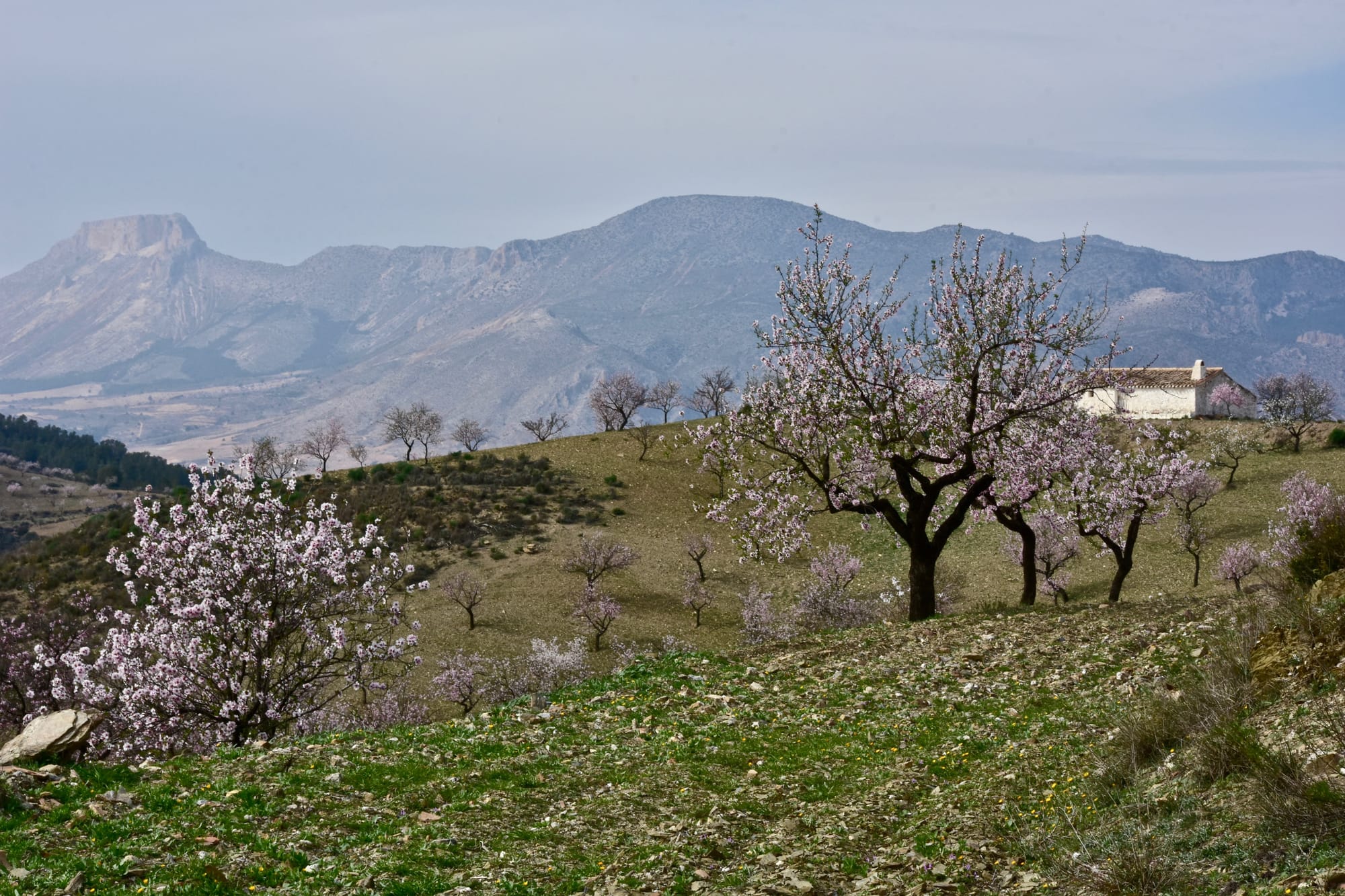 ANDALUSIEN