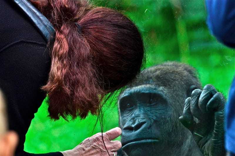 Frauen  |  © Almut Adler