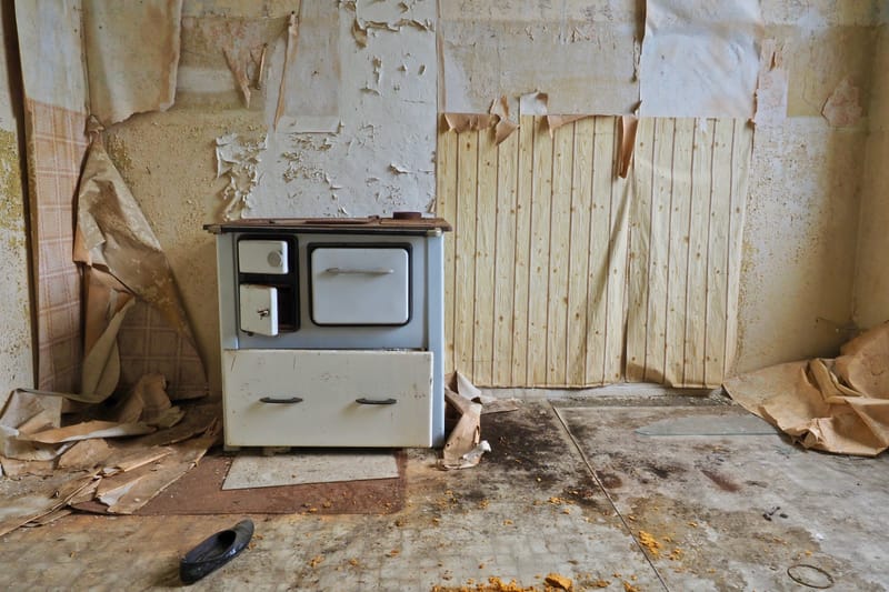 Marodes  |  © Almut Adler