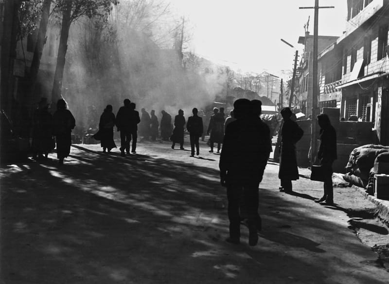 Schwarzweiss  |  Fotos © Almut Adler