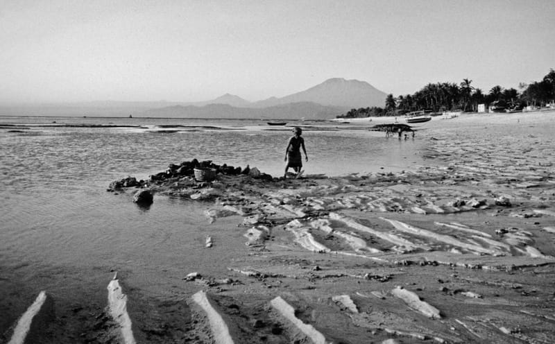 Schwarzweiss  |  Fotos © Almut Adler