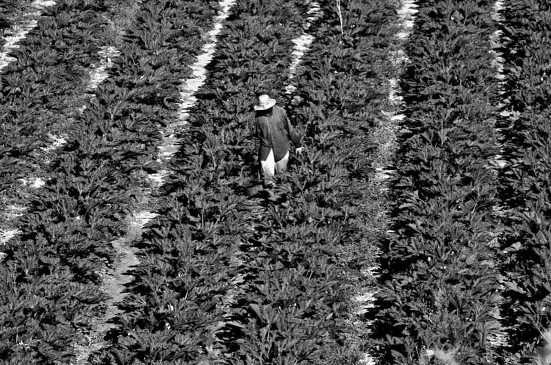 Schwarzweiss  |  Fotos © Almut Adler