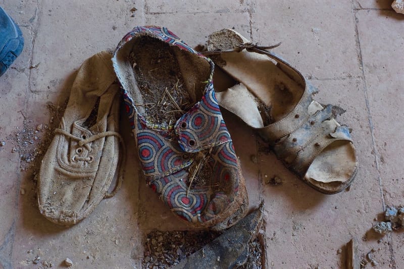 Marodes  |  © Almut Adler