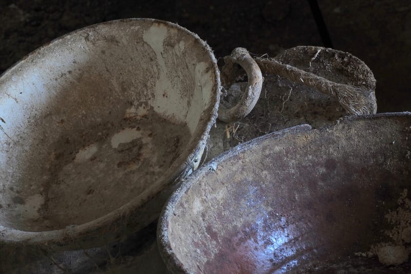 Marodes  |  © Almut Adler