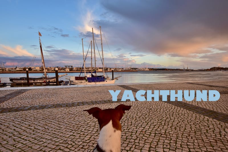 Visuelle Worte  |  Fotos © Almut Adler