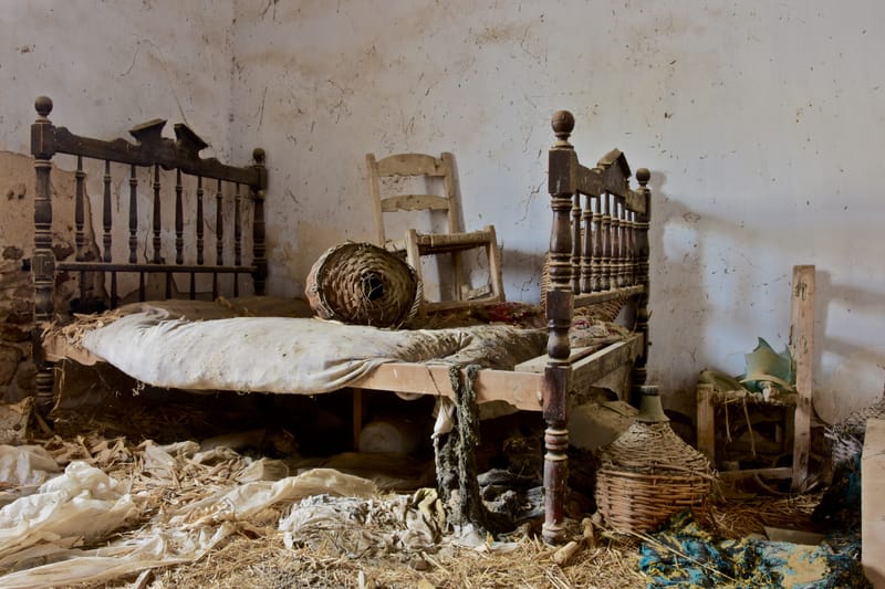 Marodes  |  © Almut Adler