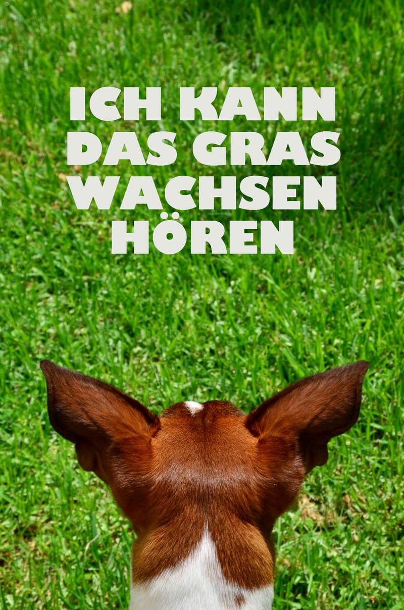 Visuelle Worte  |  Fotos © Almut Adler