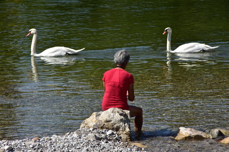 Frauen  |  © Almut Adler
