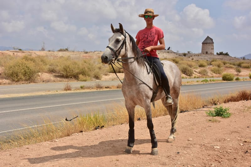 Andalusien  |  © Almut Adler