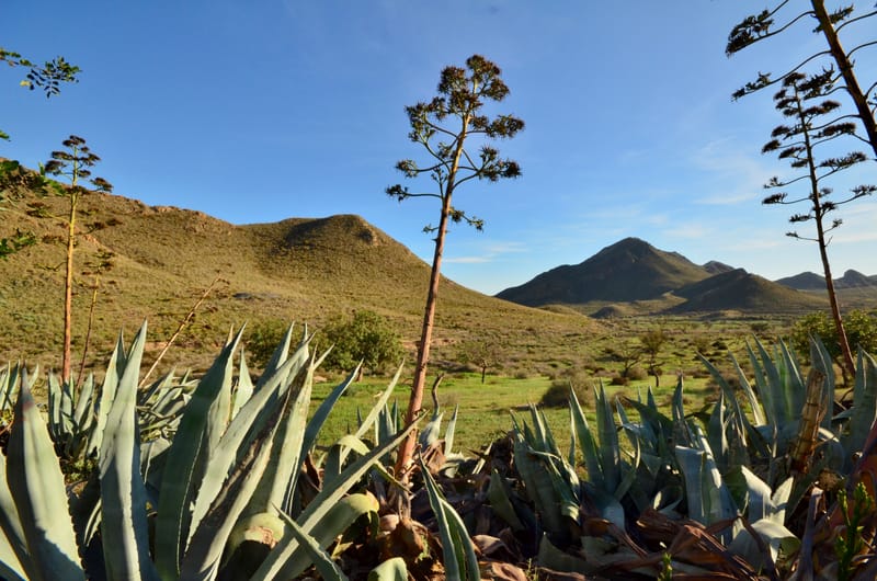 Andalusien  |  © Almut Adler