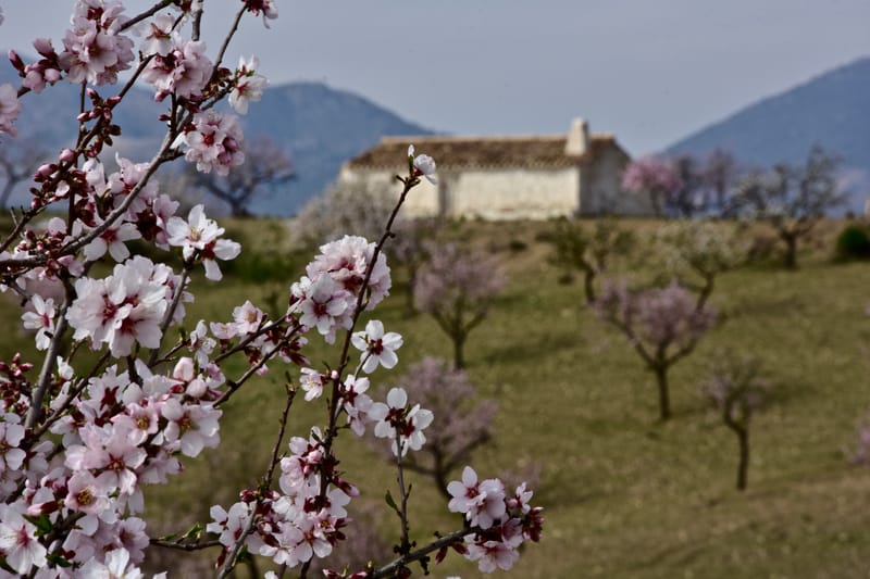 Andalusien  |  © Almut Adler