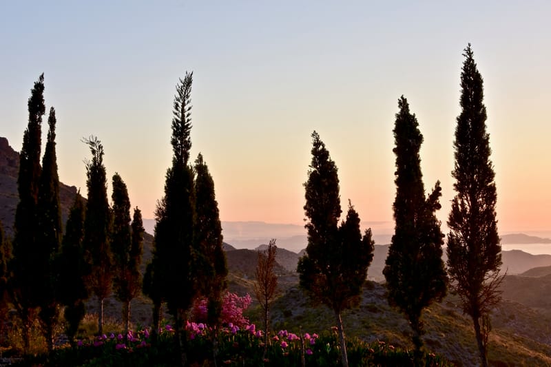 Andalusien  |  © Almut Adler
