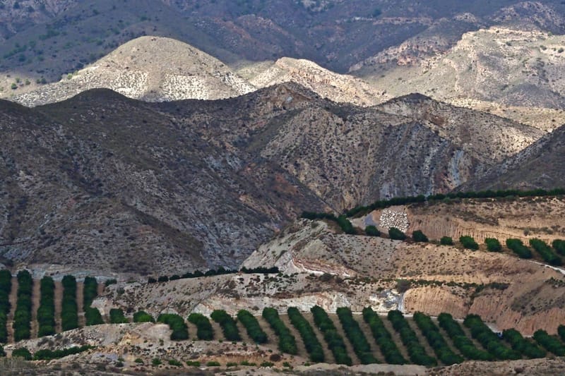 Andalusien  |  © Almut Adler
