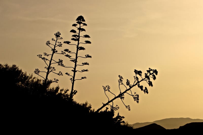 Andalusien  |  © Almut Adler