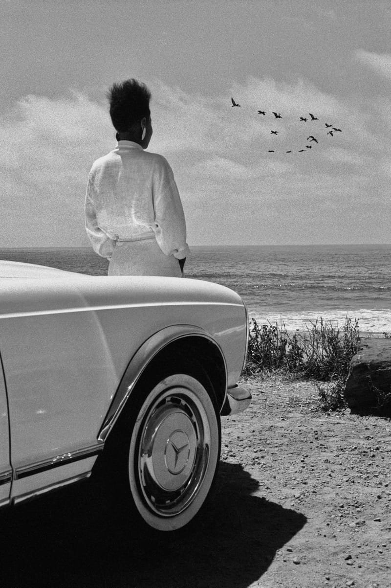 Schwarzweiss  |  Fotos © Almut Adler