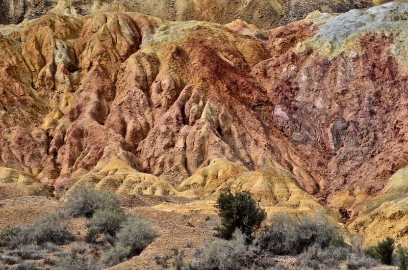 Natur  |  © Almut Adler