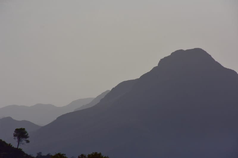 Natur  |  © Almut Adler