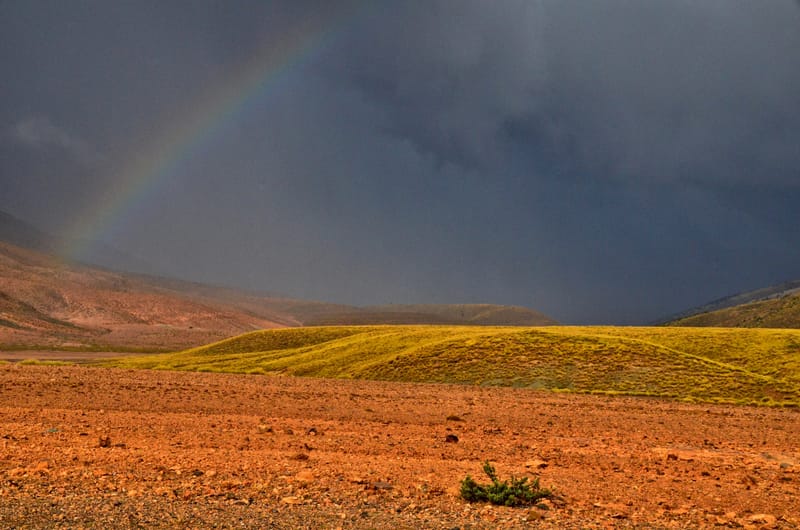 Reisen 1975-2015  |  © Almut Adler