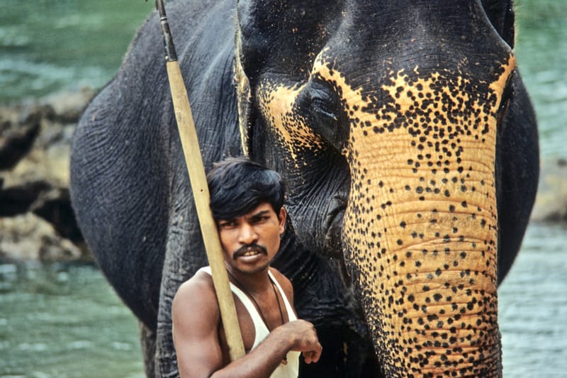 Reisen 1975-2015  |  © Almut Adler