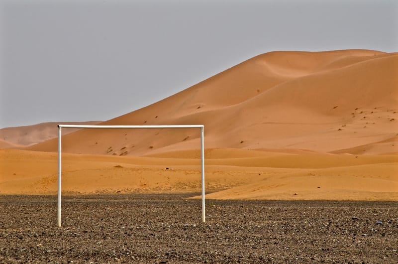 Natur  |  © Almut Adler