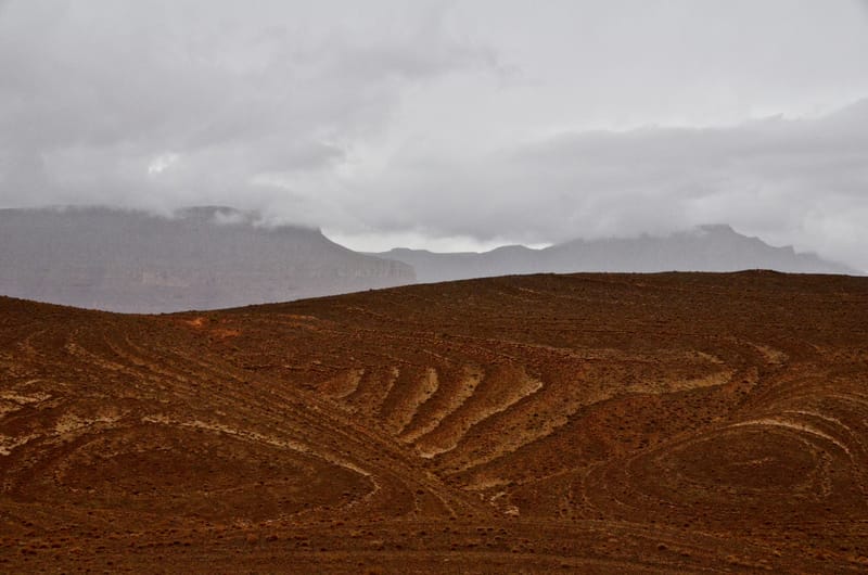 Natur  |  © Almut Adler